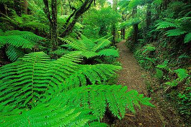 《街头霸王6》古烈角色指南 6月2日正式发售