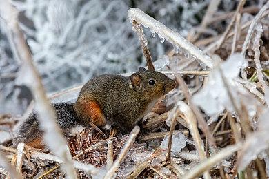 《地下城与勇士：决斗》“征战者”演示视频 12月18日开启公测