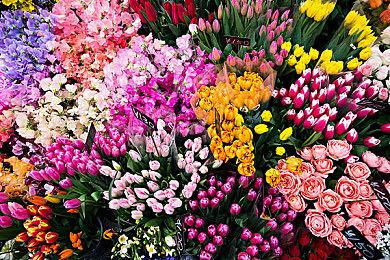 美日服NSO高级会员游戏库更新 添加5款世嘉游戏